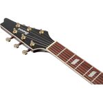 Ibanez IC420FM-VLS Iceman Standard elektromos gitár