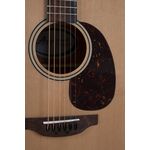 Applause AAD96-4 Wood Classics Natural Gloss akusztikus gitár