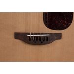 Applause AAD96-4 Wood Classics Natural Gloss akusztikus gitár