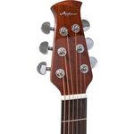 Applause AAD96-4 Wood Classics Natural Gloss akusztikus gitár