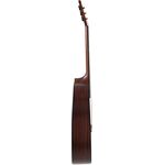 Applause AAD96-M Wood Classics Mahogany Natural Matte akusztikus gitár