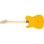 Fender Standard Telecaster MN Butterscotch Blonde elektromos gitár