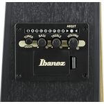 Ibanez TCY621-BOT Talman elektro-akusztikus gitár