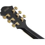 Ibanez PM3C-BKL Pat Metheny Signature elektromos gitár