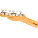 Fender American Professional Classic Telecaster RW Faded Black elektromos gitár