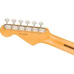 Fender American Professional Classic Stratocaster RW Faded Black elektromos gitár