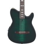 Ibanez FRH20FMN-DGL elektro-klasszikus gitár