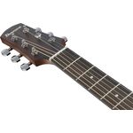 Ibanez AAD54E-OMH Advanced Acoustic elektro-akusztikus gitár