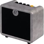 Ortega PTWO-E Amplification gitárkombó