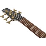 Ibanez SR305EDX-FDM 5 húros elektromos basszusgitár