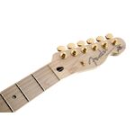 Fender Richie Kotzen Telecaster MN Brown Sunburst elektromos gitár