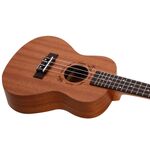 Flight NUC310 koncert ukulele