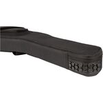 Fender FE620 elektromos gitártok