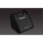Roland PM-100 dobmonitor