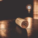 Meinl SH56 Fa shaker