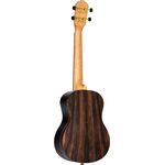 Ortega RUEB-TE tenor ukulele
