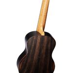 Ortega RUEB-TE tenor ukulele