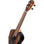 Ortega RUEB-TE tenor ukulele
