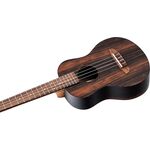 Ortega RUEB-TE tenor ukulele