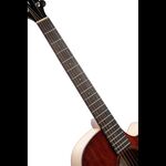 Cort SFX-Myrtlewood-BR elektro-akusztikus gitár