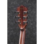 Ibanez AE325-LGS elektro-akusztikus gitár