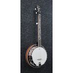 Ibanez B200 banjo