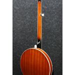 Ibanez B200 banjo