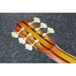 Ibanez TCB1006-ALM elektromos basszusgitár