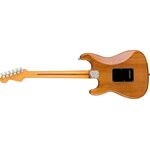 Fender American Professional II Stratocaster RW Roasted Pine elektromos gitár