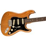 Fender American Professional II Stratocaster RW Roasted Pine elektromos gitár