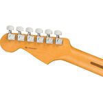 Fender American Professional II Stratocaster RW Roasted Pine elektromos gitár