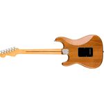 Fender American Professional II Stratocaster MN Roasted Pine elektromos gitár