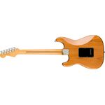 Fender American Professional II Stratocaster HSS MN Roasted Pine elektromos gitár