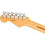 Fender American Professional II Stratocaster HSS MN Roasted Pine elektromos gitár