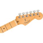 Fender American Professional II Stratocaster HSS MN Roasted Pine elektromos gitár