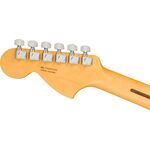 Fender American Professional II Telecaster Deluxe RW Dark Night elektromos gitár