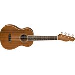 Fender Zuma Natural koncert ukulele