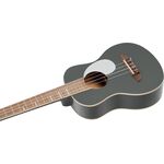Ortega RUGA-PLT tenor ukulele