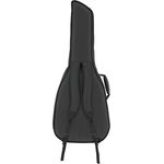 Fender FAC-610 klasszikus gitár puhatok