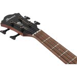 Ibanez AEGB24E-BKH elektro-akusztikus basszusgitár