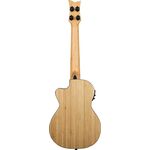 Ortega RUNAB-TE elektro-akusztikus tenor ukulele