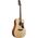 Ibanez AAD1012E-OPN Advanced Acoustic 12-húrós elektro-akusztikus gitár