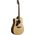 Ibanez AAD170LCE-LGS Advanced Acoustic balkezes elektro-akusztikus gitár