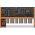 Behringer POLY D analóg szintetizátor