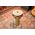 Meinl JD14SI Djembe