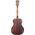 D'Angelico Premier Tammany LS Aged Mahogany elektro-akusztikus gitár