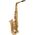 Roy Benson AS-302 (RB700.620) Eb alt szaxofon