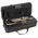 Roy Benson TR-202G (RB701.075) Bb trombita