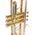 Roy Benson TR-202G (RB701.075) Bb trombita