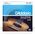 D'Addario EJ35 Silk&Steel 12 húros 11-47 akusztikus gitárhúr